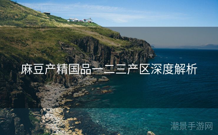 麻豆产精国品一二三产区深度解析