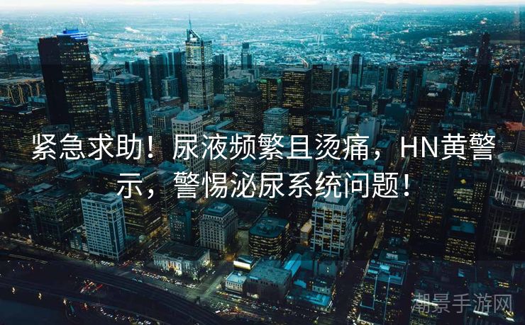 紧急求助！尿液频繁且烫痛，HN黄警示，警惕泌尿系统问题！