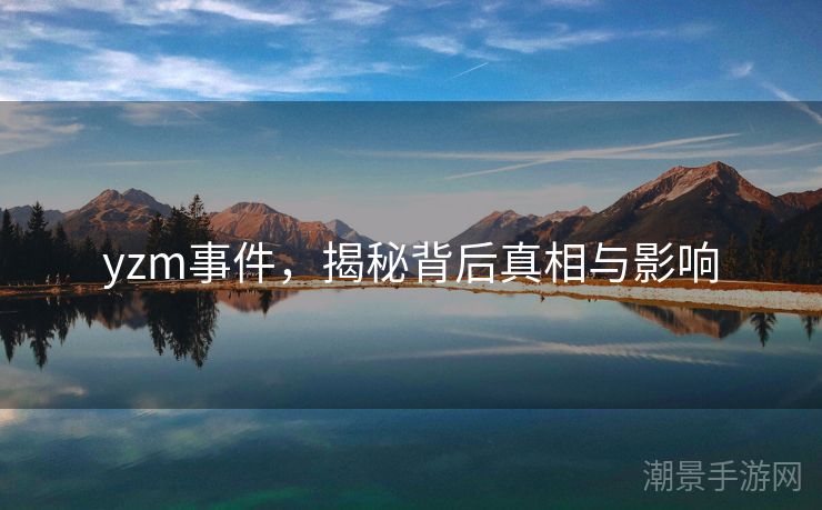 yzm事件，揭秘背后真相与影响