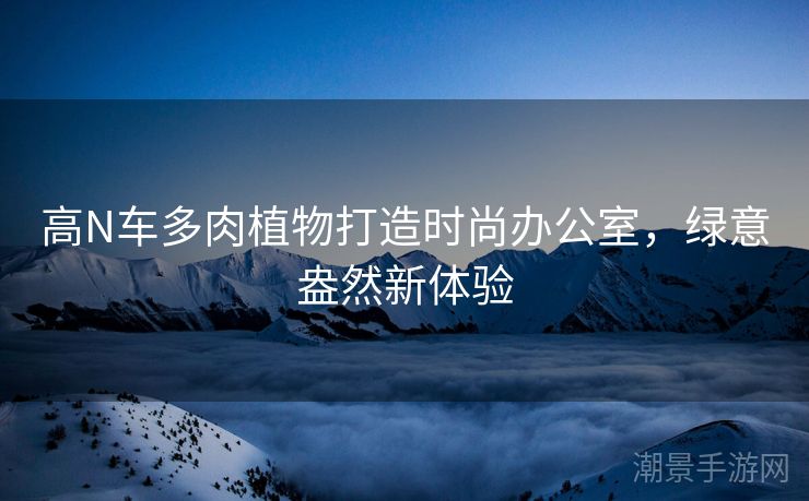 高N车多肉植物打造时尚办公室，绿意盎然新体验