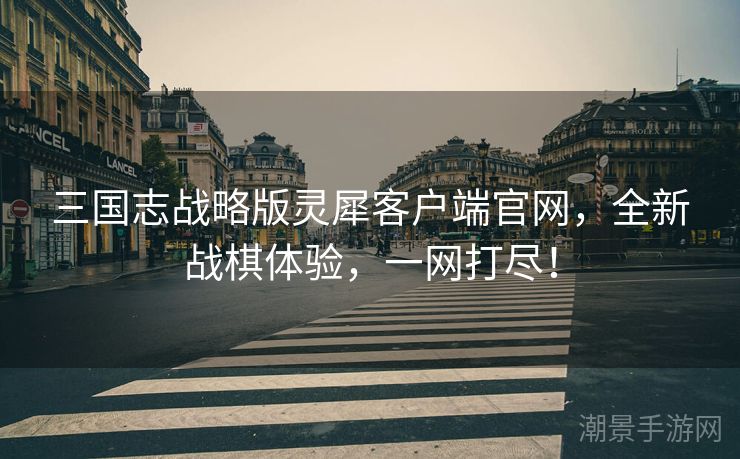 三国志战略版灵犀客户端官网，全新战棋体验，一网打尽！