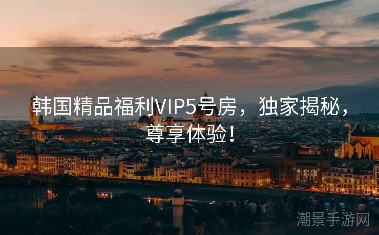 韩国精品福利VIP5号房，独家揭秘，尊享体验！