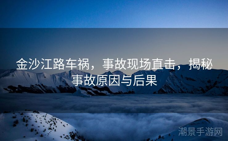 金沙江路车祸，事故现场直击，揭秘事故原因与后果