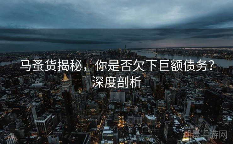 马蚤货揭秘，你是否欠下巨额债务？深度剖析