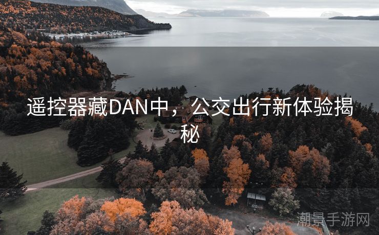 遥控器藏DAN中，公交出行新体验揭秘