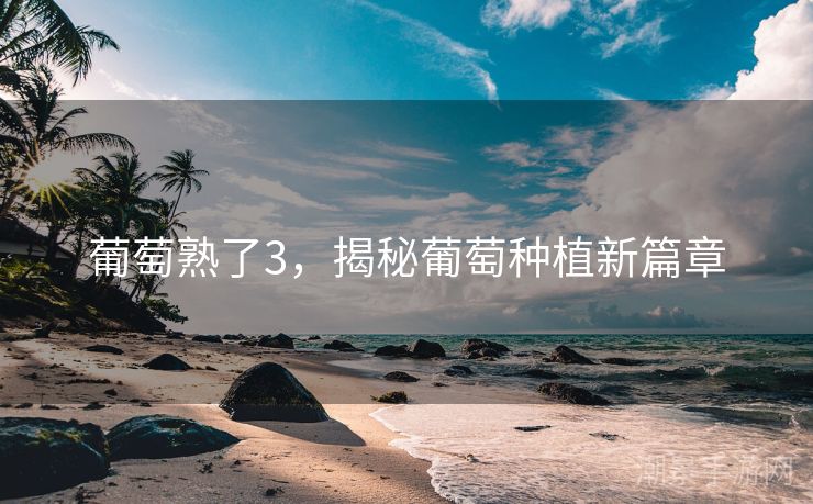 葡萄熟了3，揭秘葡萄种植新篇章