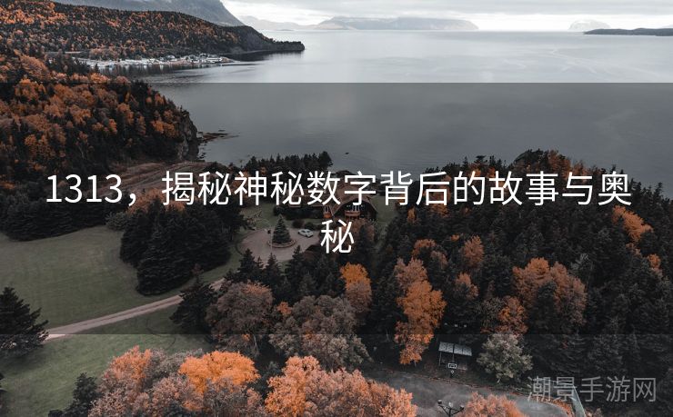 1313，揭秘神秘数字背后的故事与奥秘