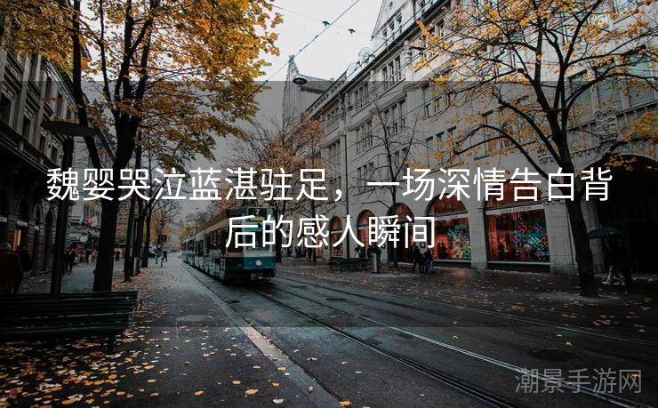 魏婴哭泣蓝湛驻足，一场深情告白背后的感人瞬间