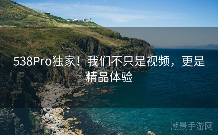 538Pro独家！我们不只是视频，更是精品体验