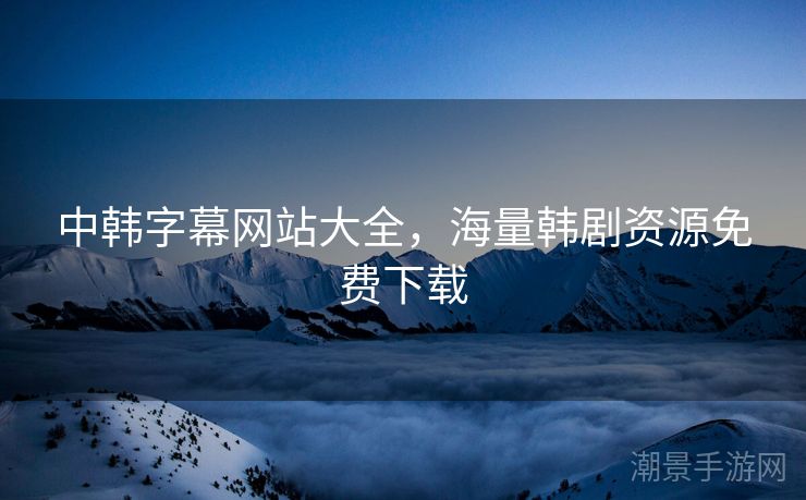 中韩字幕网站大全，海量韩剧资源免费下载