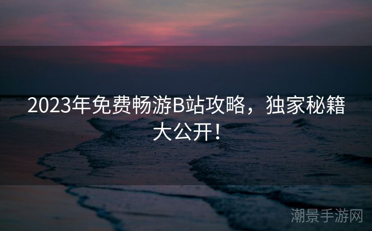 2023年免费畅游B站攻略，独家秘籍大公开！