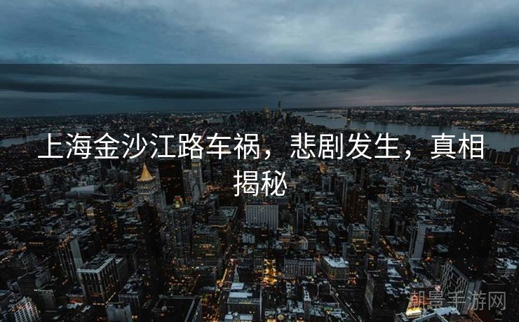 上海金沙江路车祸，悲剧发生，真相揭秘