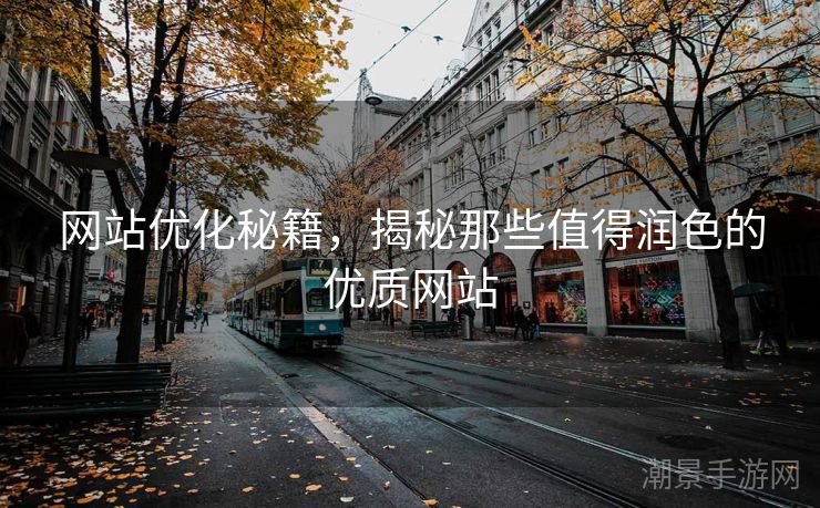 网站优化秘籍，揭秘那些值得润色的优质网站
