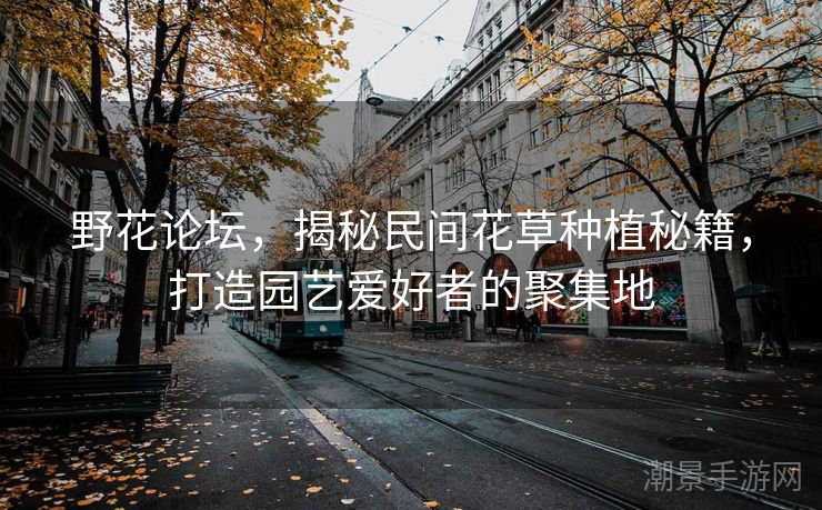野花论坛，揭秘民间花草种植秘籍，打造园艺爱好者的聚集地