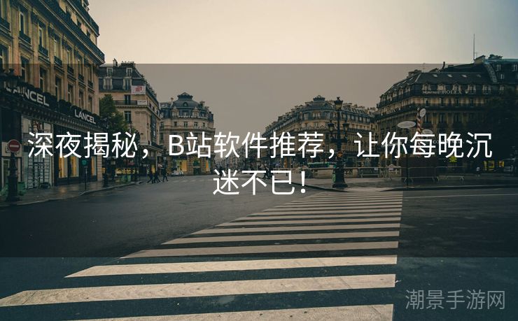 深夜揭秘，B站软件推荐，让你每晚沉迷不已！