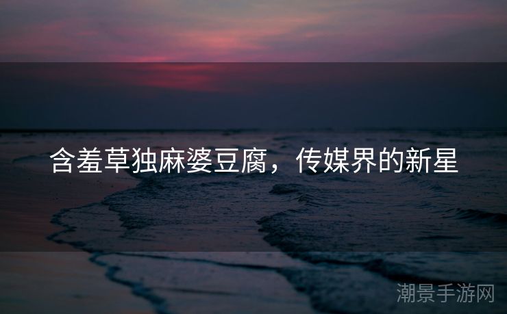 含羞草独麻婆豆腐，传媒界的新星