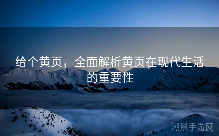 给个黄页，全面解析黄页在现代生活的重要性