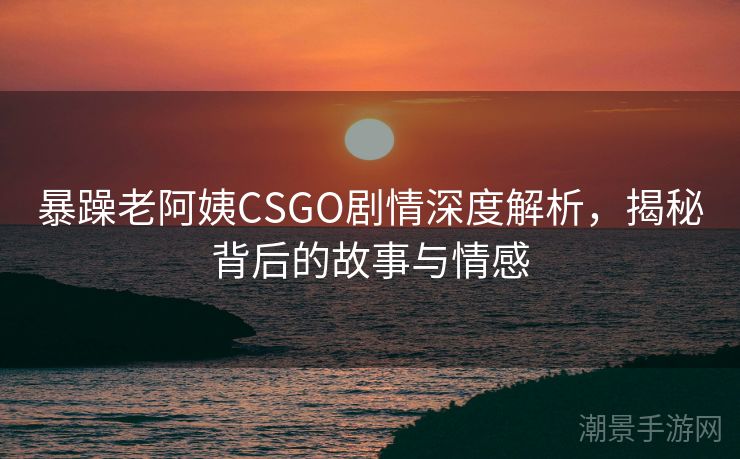 暴躁老阿姨CSGO剧情深度解析，揭秘背后的故事与情感