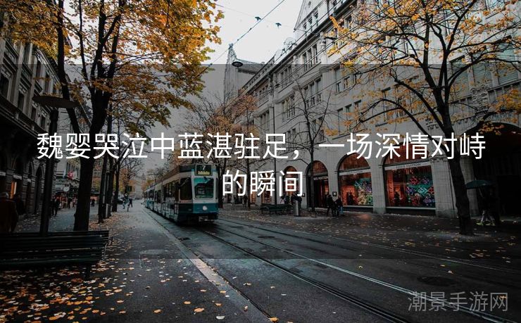 魏婴哭泣中蓝湛驻足，一场深情对峙的瞬间