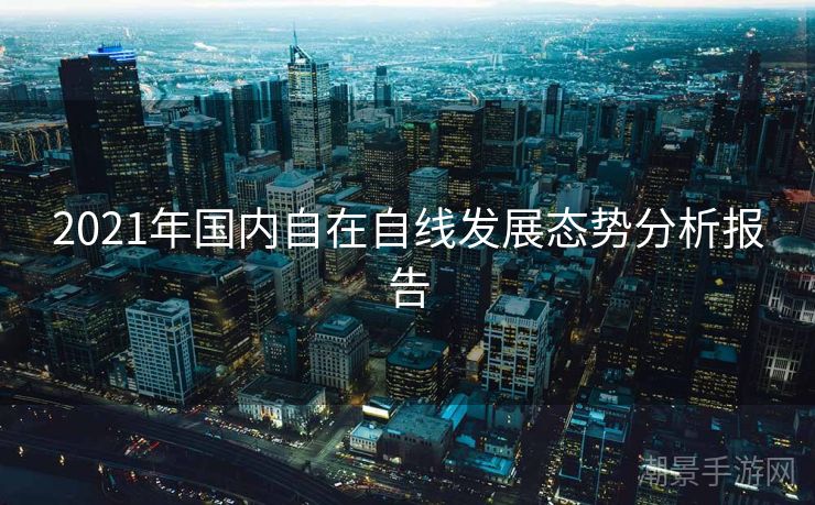 2021年国内自在自线发展态势分析报告