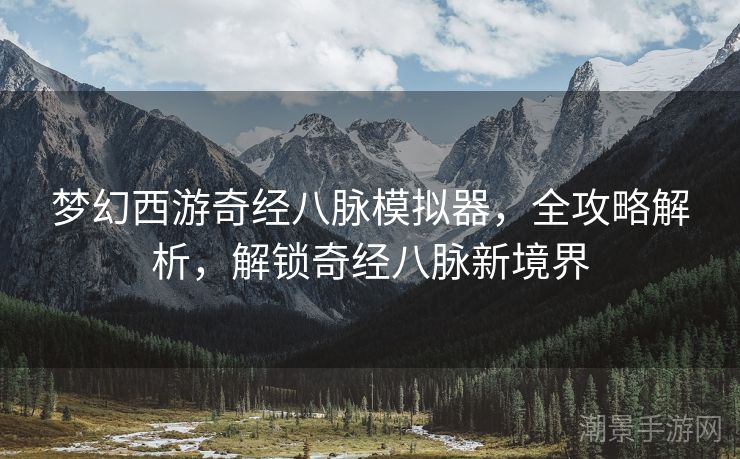 梦幻西游奇经八脉模拟器，全攻略解析，解锁奇经八脉新境界