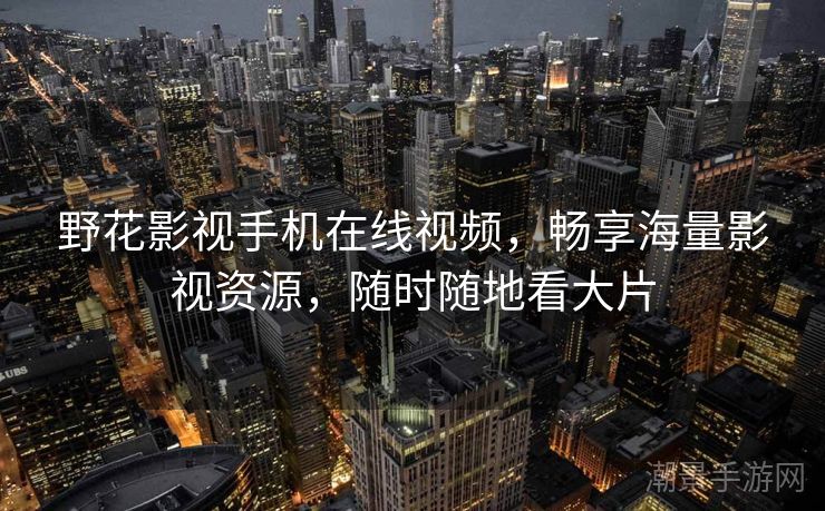 野花影视手机在线视频，畅享海量影视资源，随时随地看大片