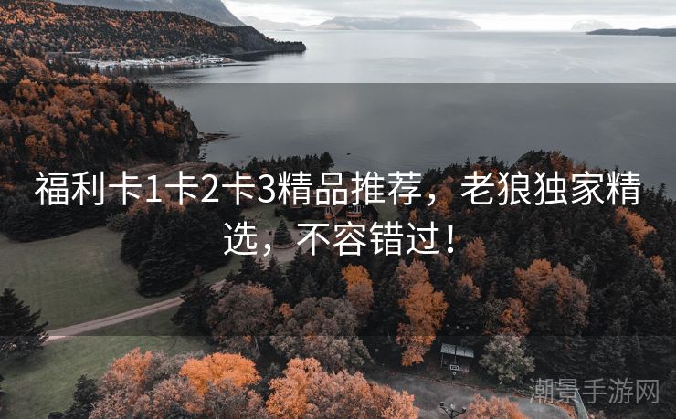 福利卡1卡2卡3精品推荐，老狼独家精选，不容错过！