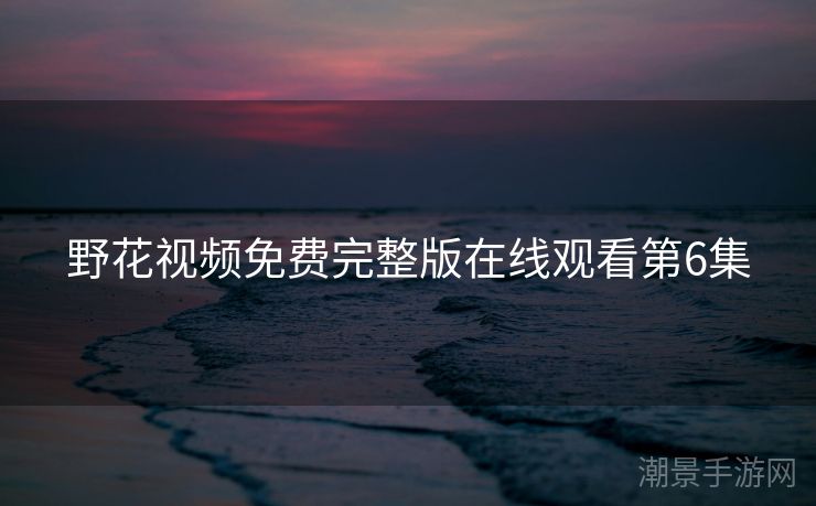野花视频免费完整版在线观看第6集