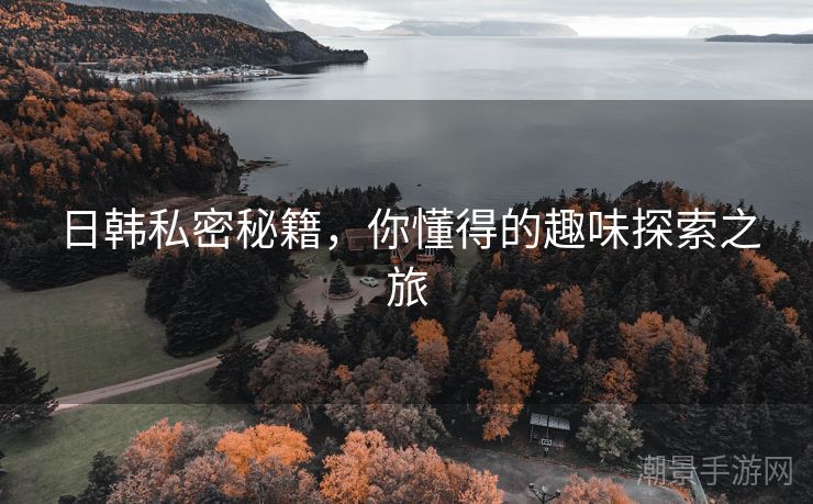 日韩私密秘籍，你懂得的趣味探索之旅