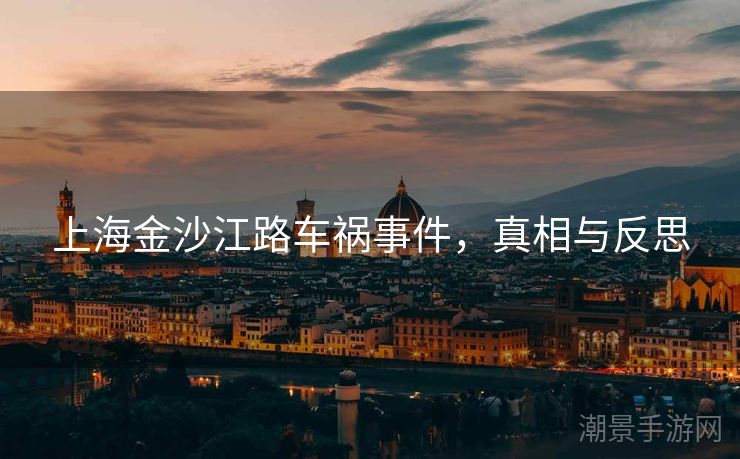 上海金沙江路车祸事件，真相与反思