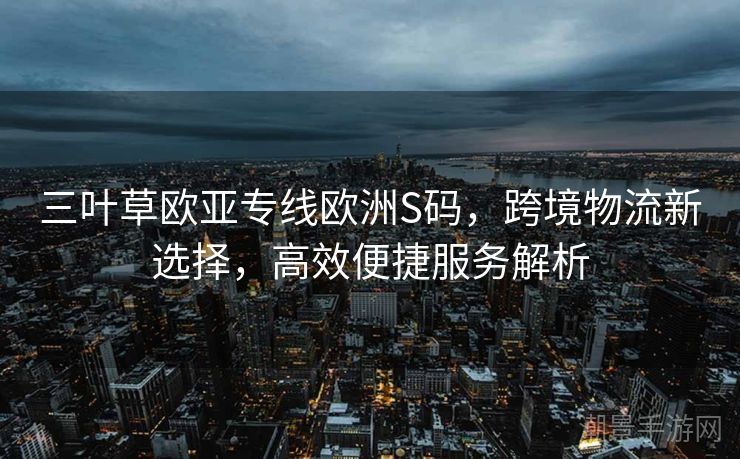 三叶草欧亚专线欧洲S码，跨境物流新选择，高效便捷服务解析
