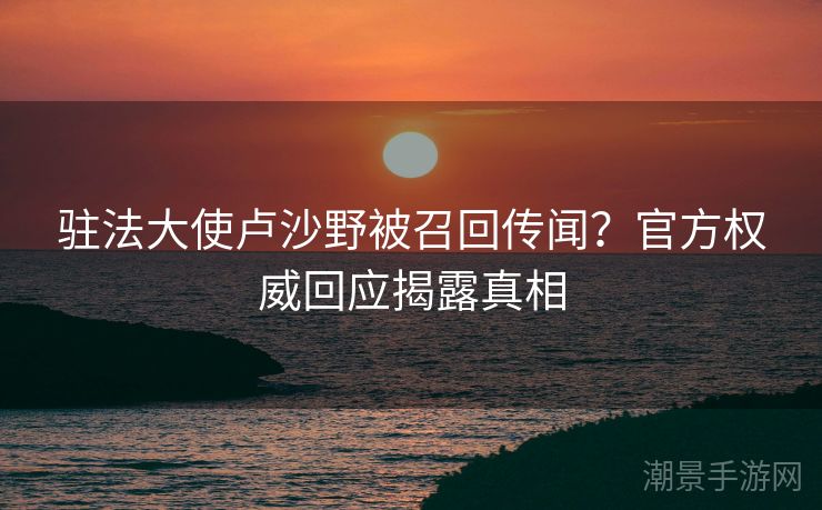 驻法大使卢沙野被召回传闻？官方权威回应揭露真相