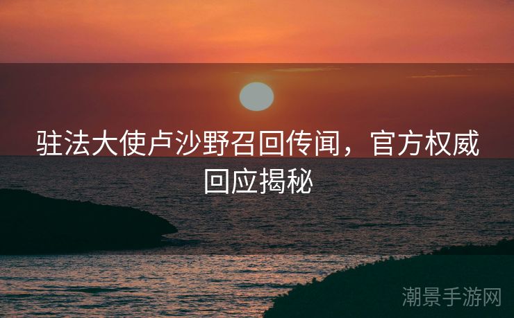 驻法大使卢沙野召回传闻，官方权威回应揭秘