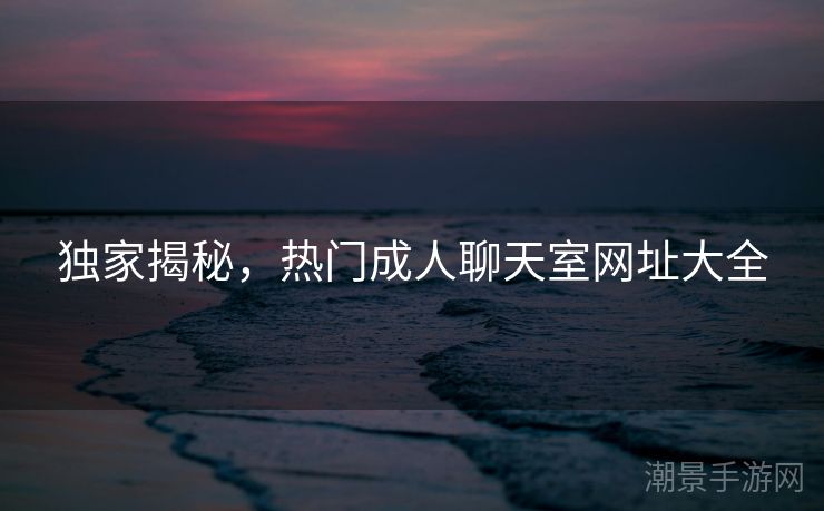 独家揭秘，热门成人聊天室网址大全