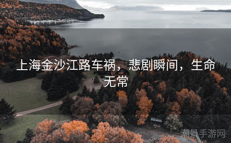 上海金沙江路车祸，悲剧瞬间，生命无常