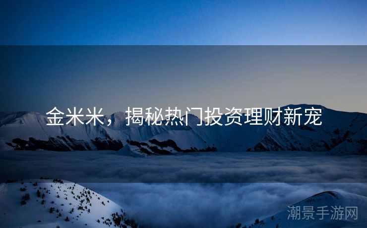金米米，揭秘热门投资理财新宠