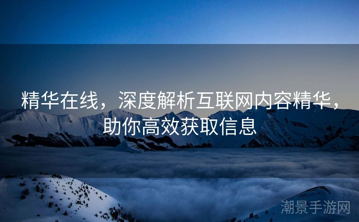 精华在线，深度解析互联网内容精华，助你高效获取信息