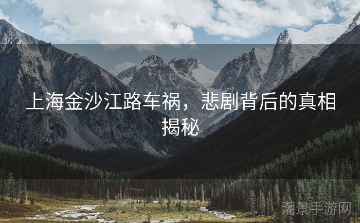 上海金沙江路车祸，悲剧背后的真相揭秘