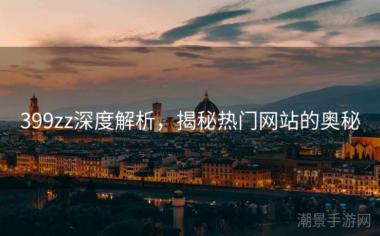 399zz深度解析，揭秘热门网站的奥秘