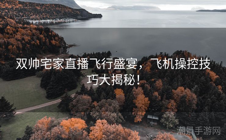 双帅宅家直播飞行盛宴，飞机操控技巧大揭秘！