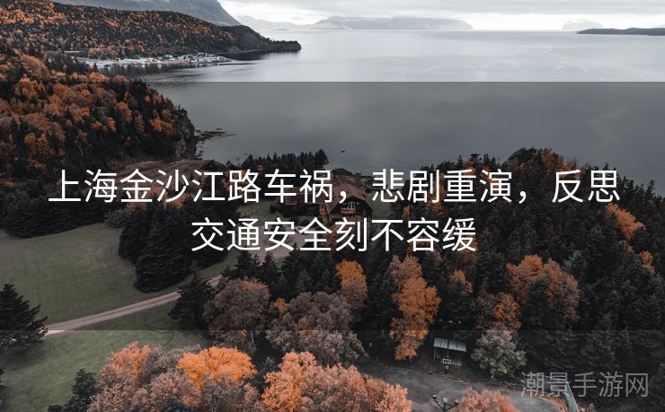 上海金沙江路车祸，悲剧重演，反思交通安全刻不容缓