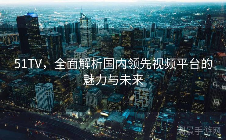 51TV，全面解析国内领先视频平台的魅力与未来