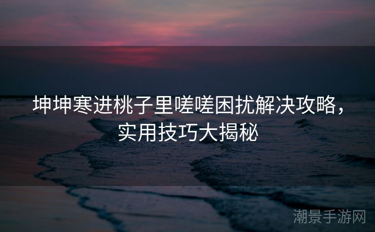 坤坤寒进桃子里嗟嗟困扰解决攻略，实用技巧大揭秘