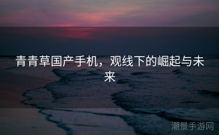 青青草国产手机，观线下的崛起与未来