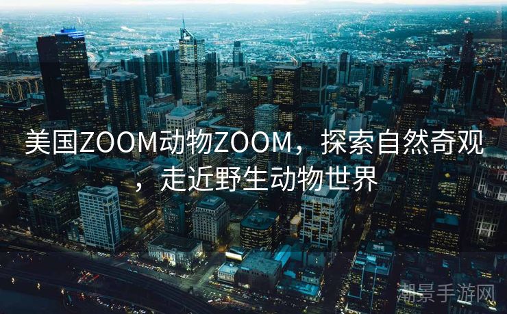 美国ZOOM动物ZOOM，探索自然奇观，走近野生动物世界