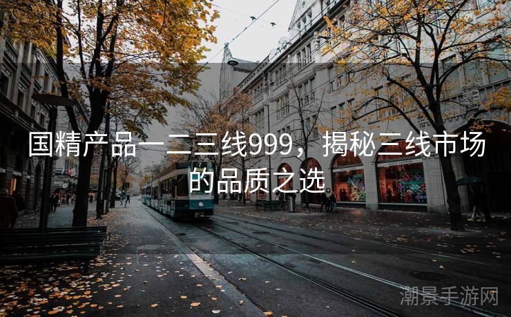 国精产品一二三线999，揭秘三线市场的品质之选