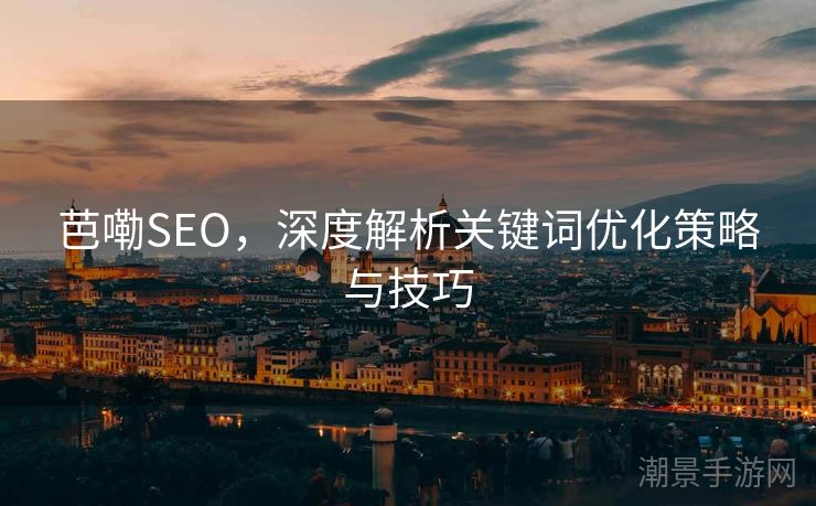 芭嘞SEO，深度解析关键词优化策略与技巧