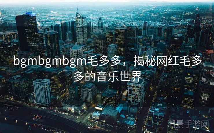 bgmbgmbgm毛多多，揭秘网红毛多多的音乐世界