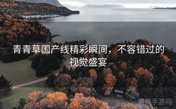 青青草国产线精彩瞬间，不容错过的视觉盛宴