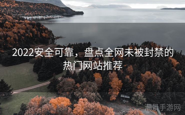 2022安全可靠，盘点全网未被封禁的热门网站推荐
